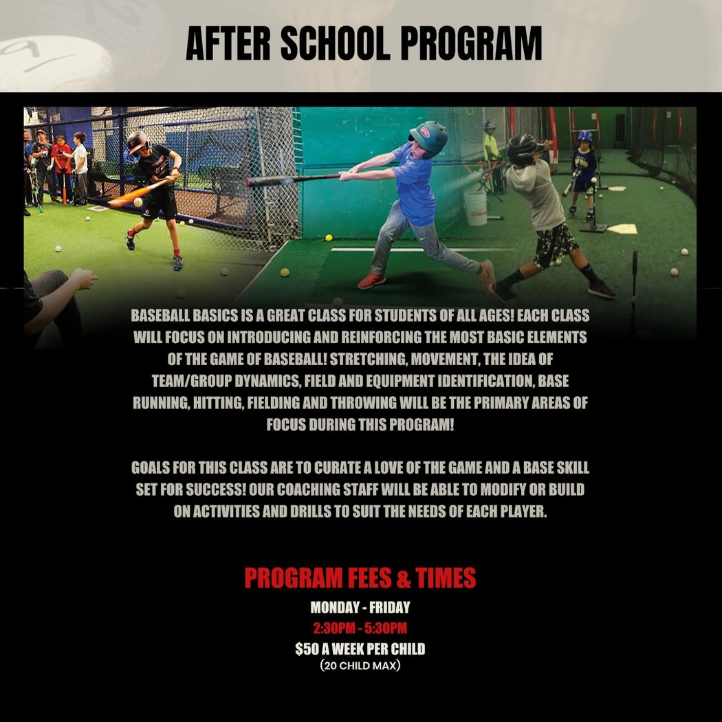 Swingfield Batting Cages 1